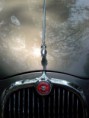 /album/autoveterani/a37-jaguar-822-jpg/